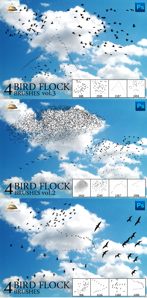 adobe photoshop birds brushes free download