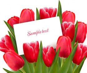 Set of Color Tulips Cards design vector 01