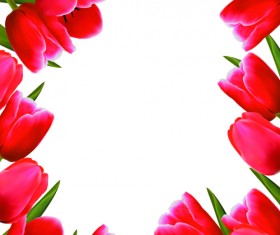 Set of Color Tulips Cards design vector 02