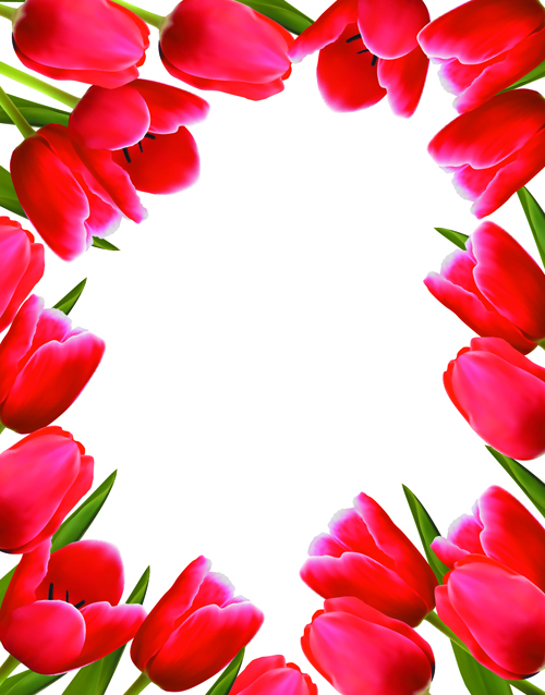Set of Color Tulips Cards design vector 02
