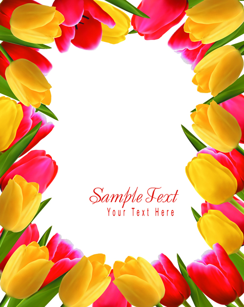 Set of Color Tulips Cards design vector 03