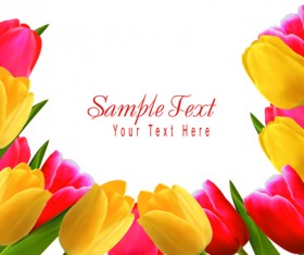 Set of Color Tulips Cards design vector 04