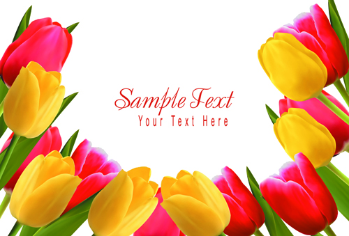 Set of Color Tulips Cards design vector 04