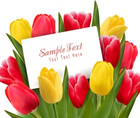 Set of Color Tulips Cards design vector 05