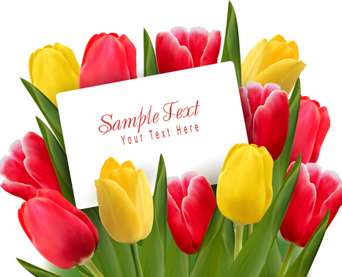 Set of Color Tulips Cards design vector 05