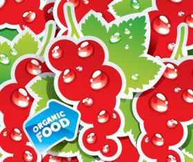 organic food labels Stickers design vector 02