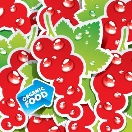 organic food labels Stickers design vector 02