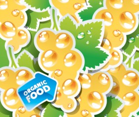 organic food labels Stickers design vector 04