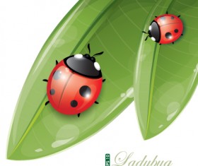 Vivid Insects design element vector 02