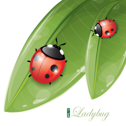 Vivid Insects design element vector 02