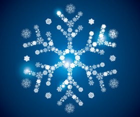 Shining snowflakes ornaments design vector graphics 05
