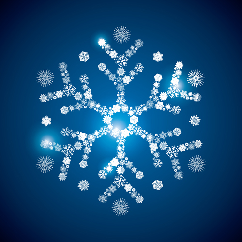 Shining snowflakes ornaments design vector graphics 05