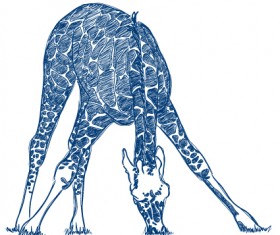 Hand drawn Zebra and giraffe design vector 01