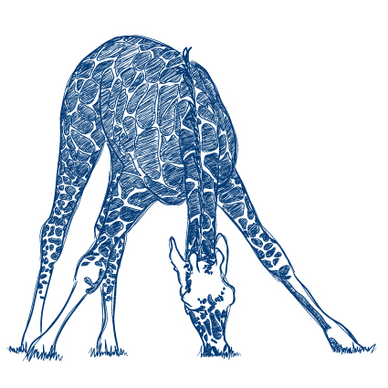 Hand drawn Zebra and giraffe design vector 01