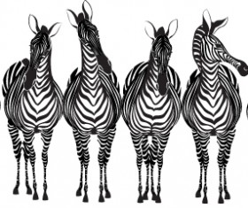 Hand drawn Zebra and giraffe design vector 03