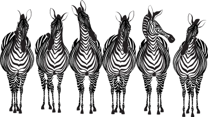 Hand drawn Zebra and giraffe design vector 03