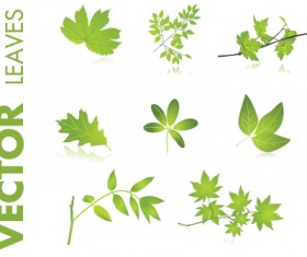 Set of Creative ecology labels vector graphics 01