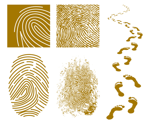 Different Fingerprints design elements vector 02