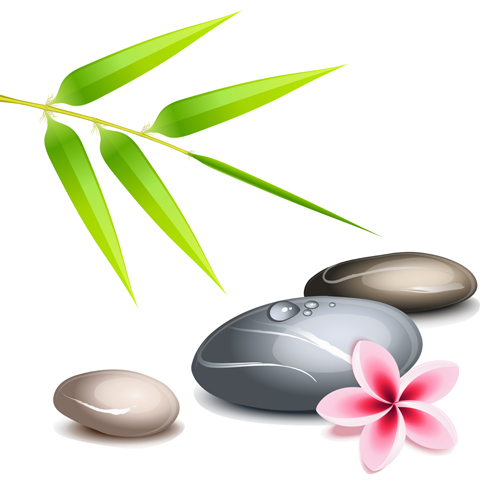 Set of Still life with stones design vector graphics 02