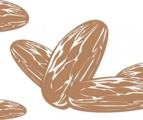 Hand drawn Almonds vector material