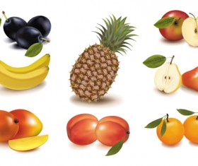 Different Fruit elements vector set