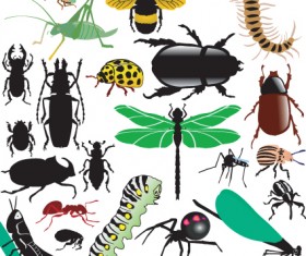 Different Insects design vector