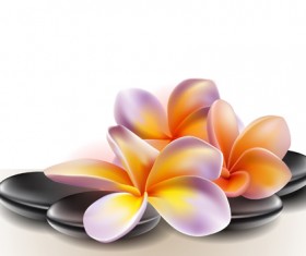 Elegant Orchids design vector 01