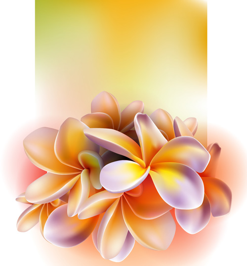 Elegant Orchids design vector 02