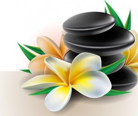 Elegant Orchids design vector 03