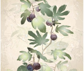 Figs design elements vector 03