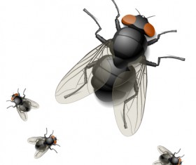 Fly design elements vector graphic 02