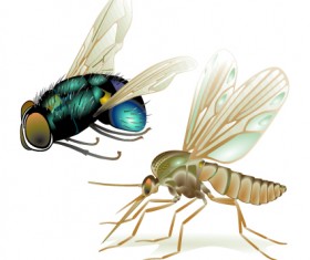 Fly design elements vector graphic 03