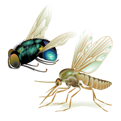 Fly design elements vector graphic 03