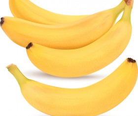 Fresh Fruits design vector set 02