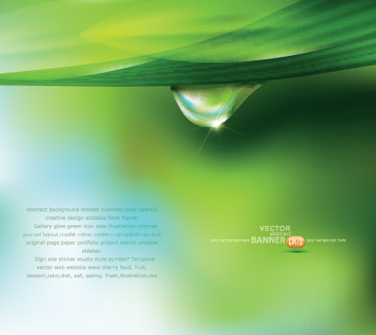 Green background with Water Drop vector