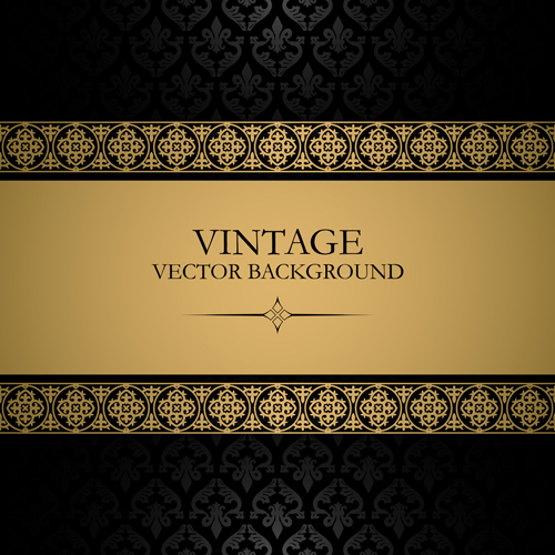 Lace with Vintage vector backgrounds 05