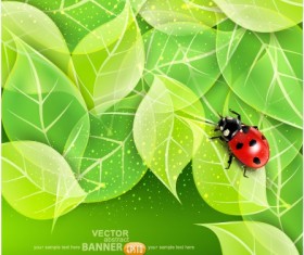 ladybug with Leaves vector backgrounds 02