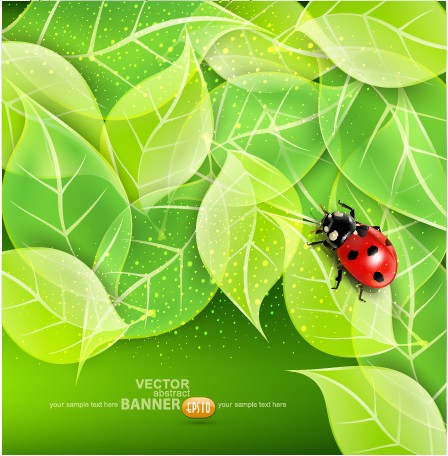 ladybug with Leaves vector backgrounds 02