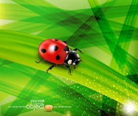 ladybug with Leaves vector backgrounds 04