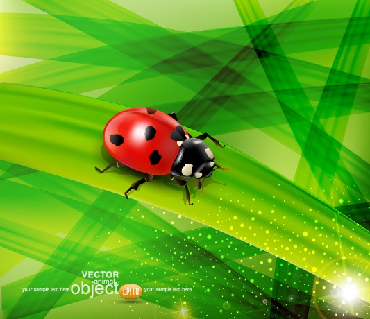 ladybug with Leaves vector backgrounds 04