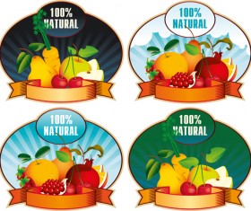 Natural fruit elements labels vector
