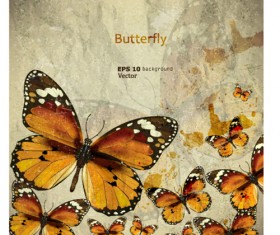 Retro Butterfly background vector 01