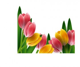 Tulips frames vector 01