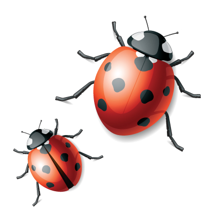 Vivid Ladybug design vector