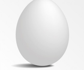White Eggs design vector