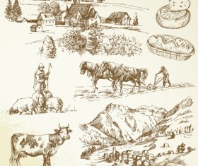 Hand drawn Agriculture elements vector 01