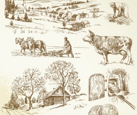 Hand drawn Agriculture elements vector 02