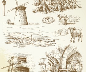 Hand drawn Agriculture elements vector 04