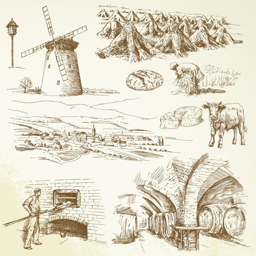 Hand drawn Agriculture elements vector 04