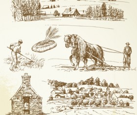 Hand drawn Agriculture elements vector 05